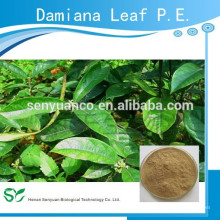 Damiana Blatt PE